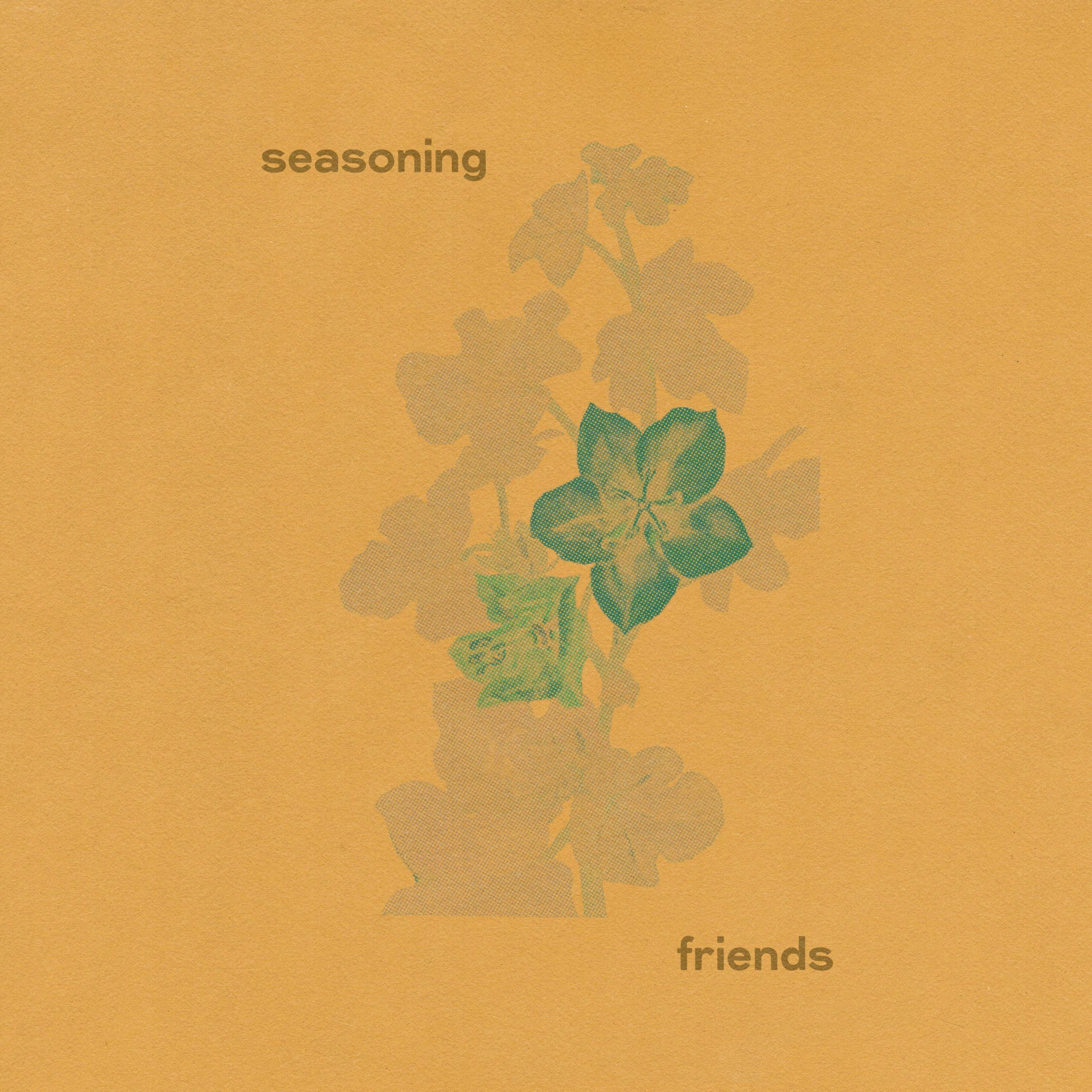 Seasoning Friends
