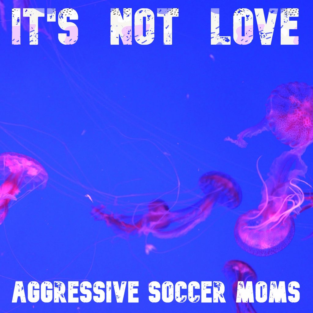 Aggressive Soccer Moms It's Not Love