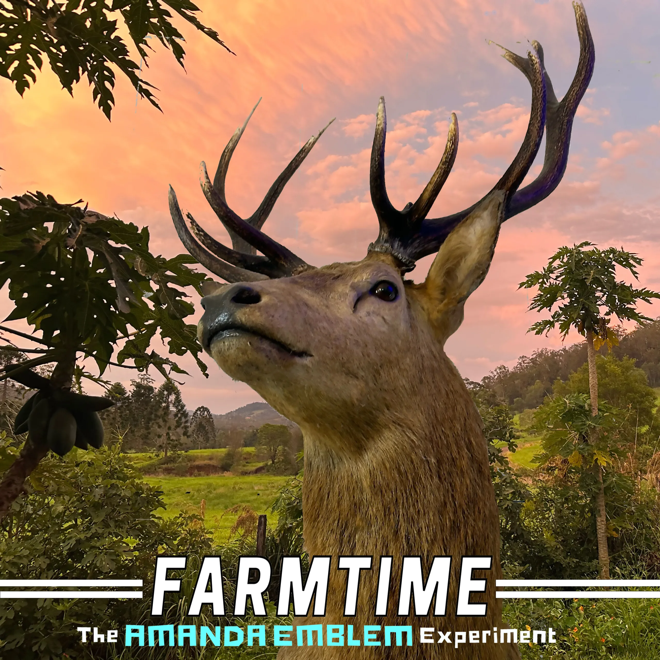 THE AMANDA EMBLEM EXPERIMENT DRAWS INSPIRATION FROM HER WAY OF LIFE IN “FARMTIME”