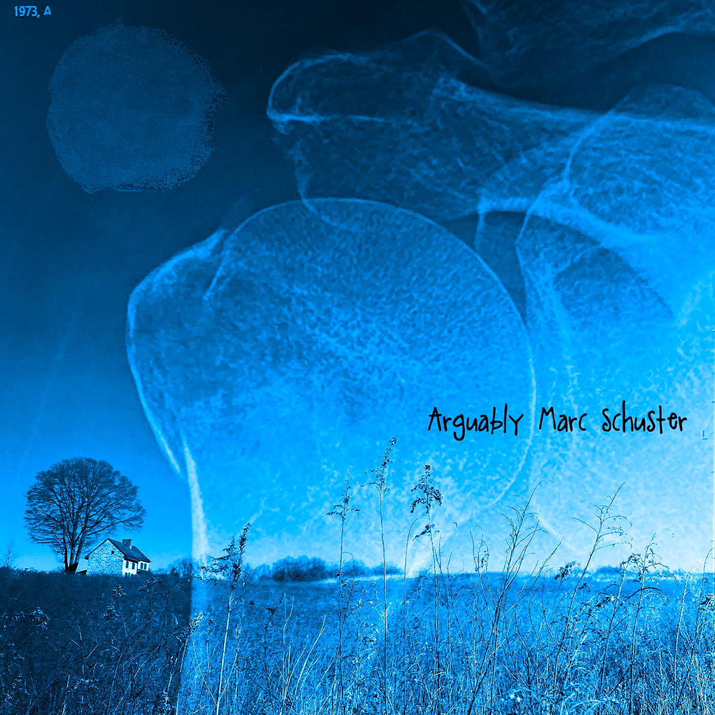 MARC SCHUSTER SHOWS HIS CREATIVE SIDE WITH THE ALBUM “ARGUABLY “