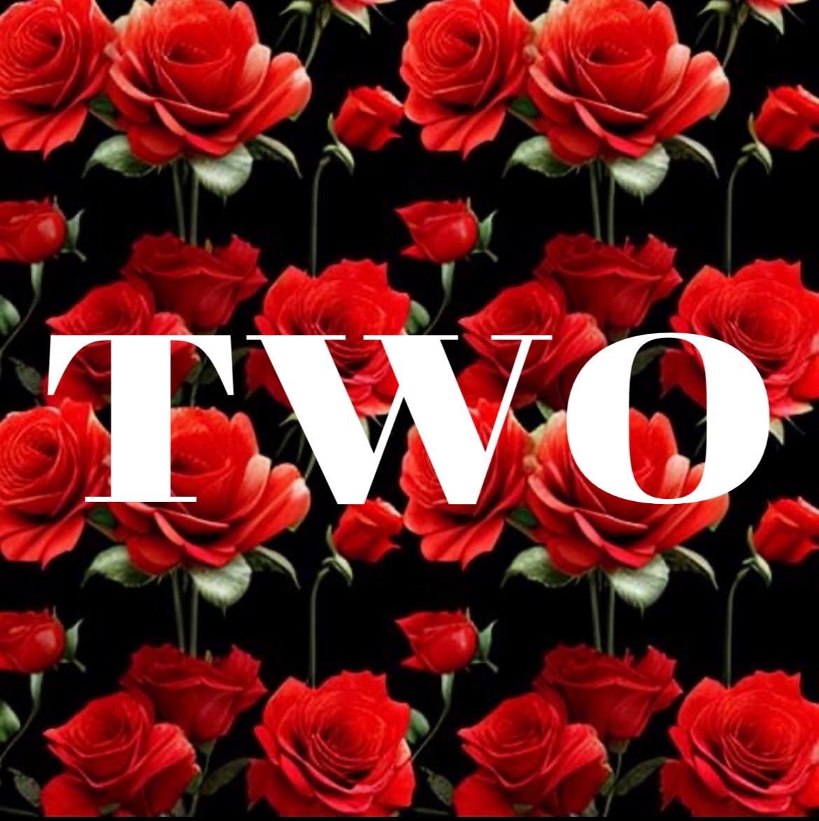 GO ON A POETIC MUSICAL TRIP WITH ANOUSH’S ALBUM “TWO”