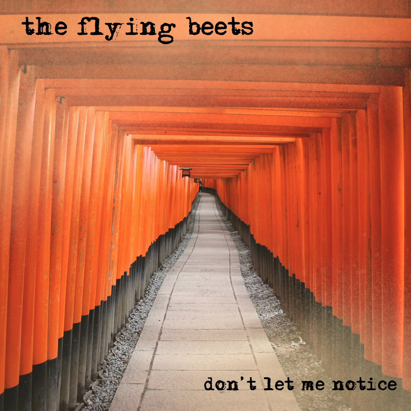 THE FLYING BEETS WILL KNOCK YOU OUT WITH THEIR NEW SINGLE “DON’T LET ME NOTICE”