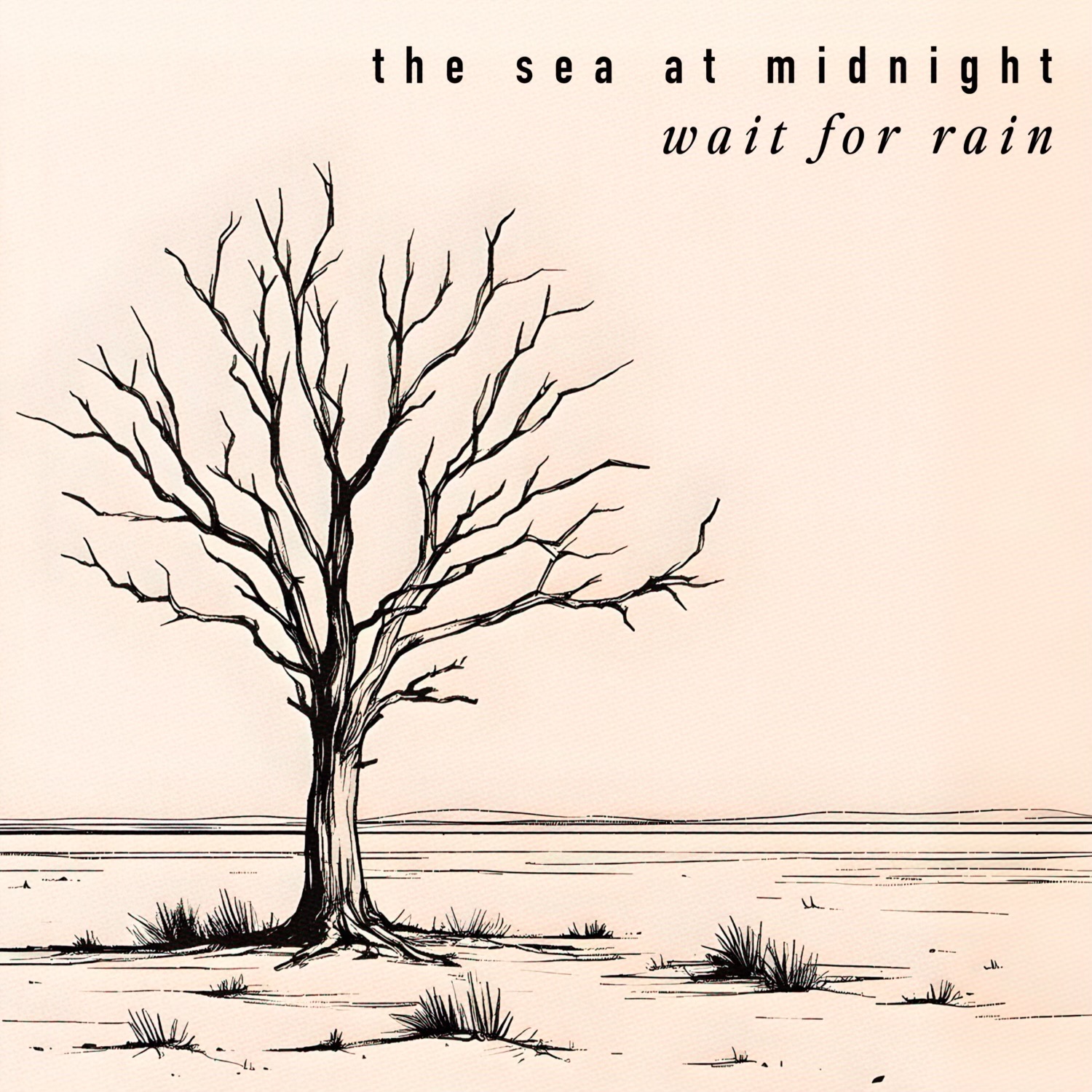 THE SEA AT MIDNIGHT EDUCATES LISTENERS ON CLIMATE CHANGE WITH THEIR NEW SONG “WAIT FOR RAIN”