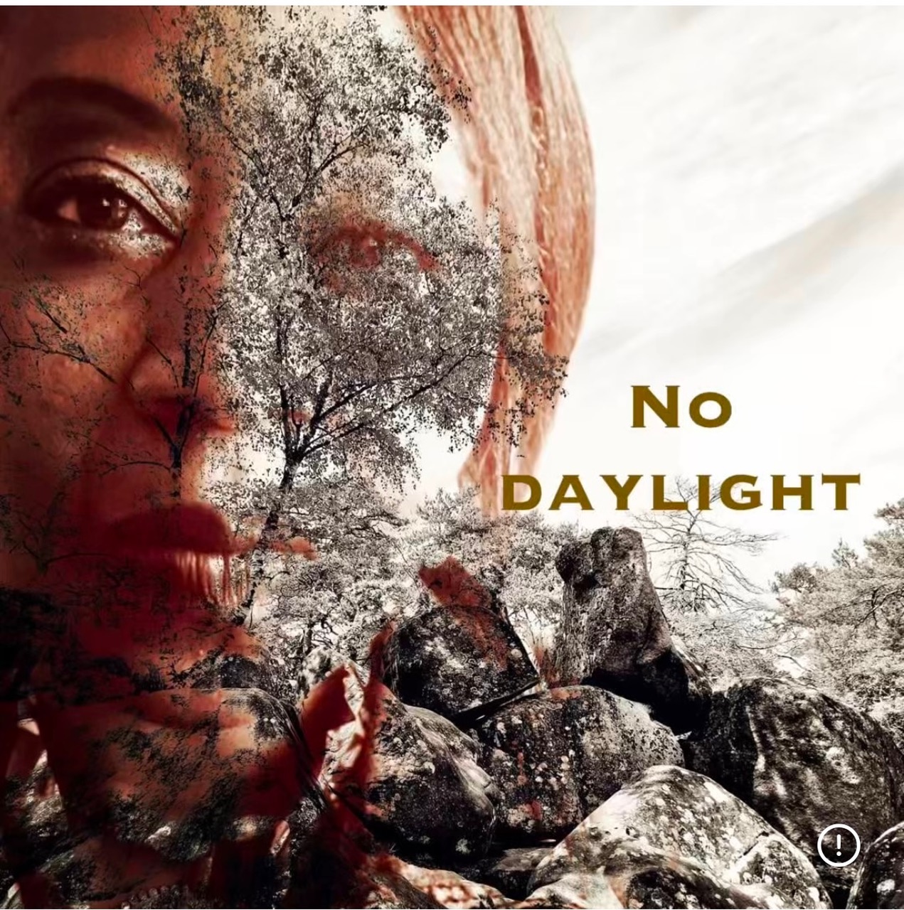 GO ON A THRILLING MUSIC JOURNEY WITH “NO DAYLIGHT” BY FIONA AMAKA