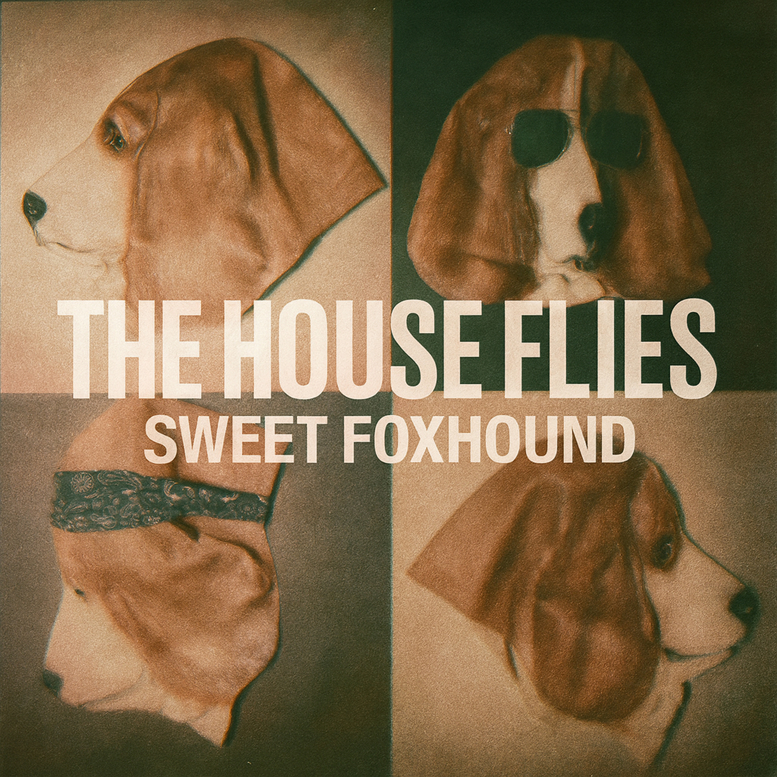 EMBRACE YOURSELF WITH THE HOUSE FLIES’ NEW SINGLE “SWEET FOXHOUND”