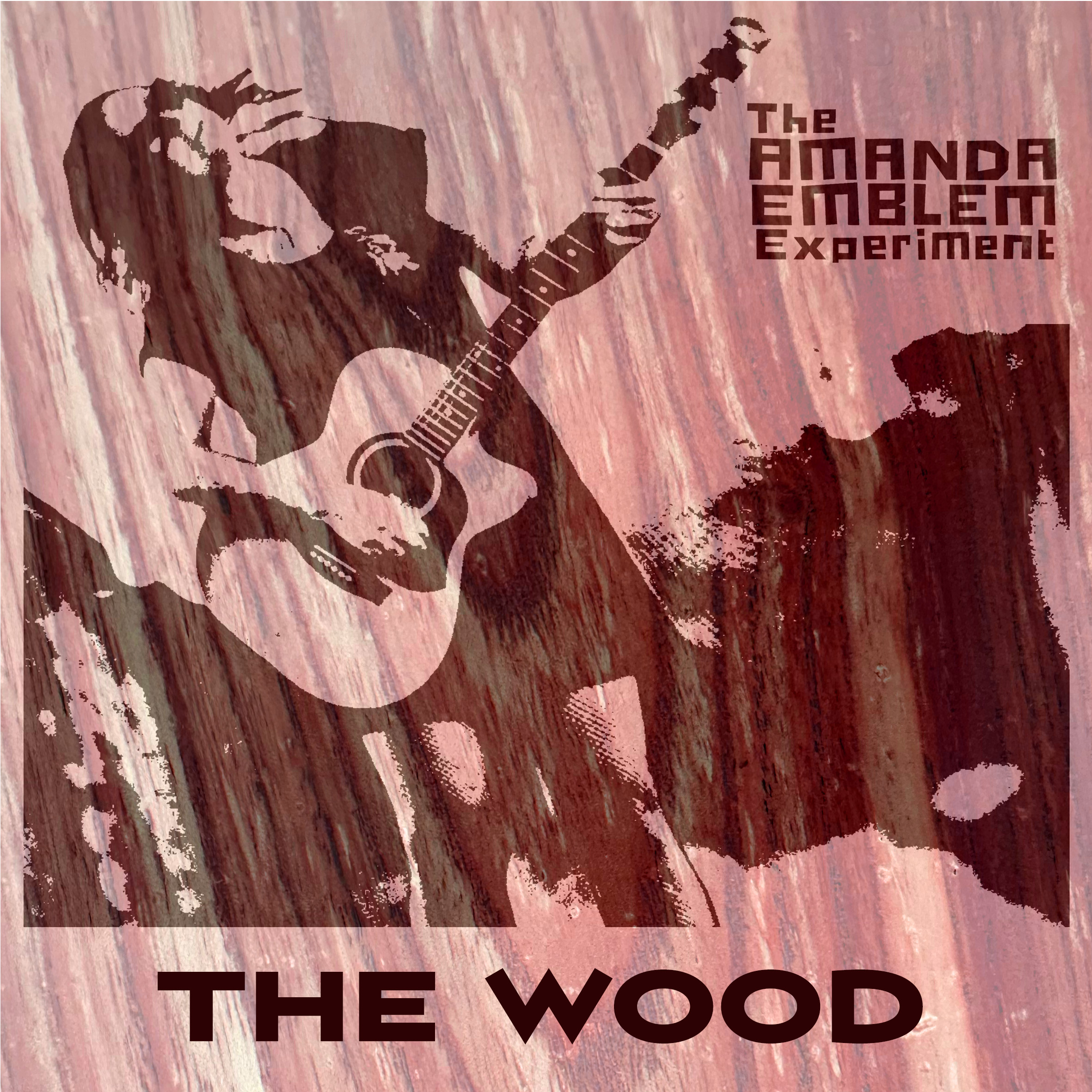 LOOK BEYOND “THE WOOD” WITH THE AMANDA EMBLEM EXPERIMENT’S NEW ALBUM