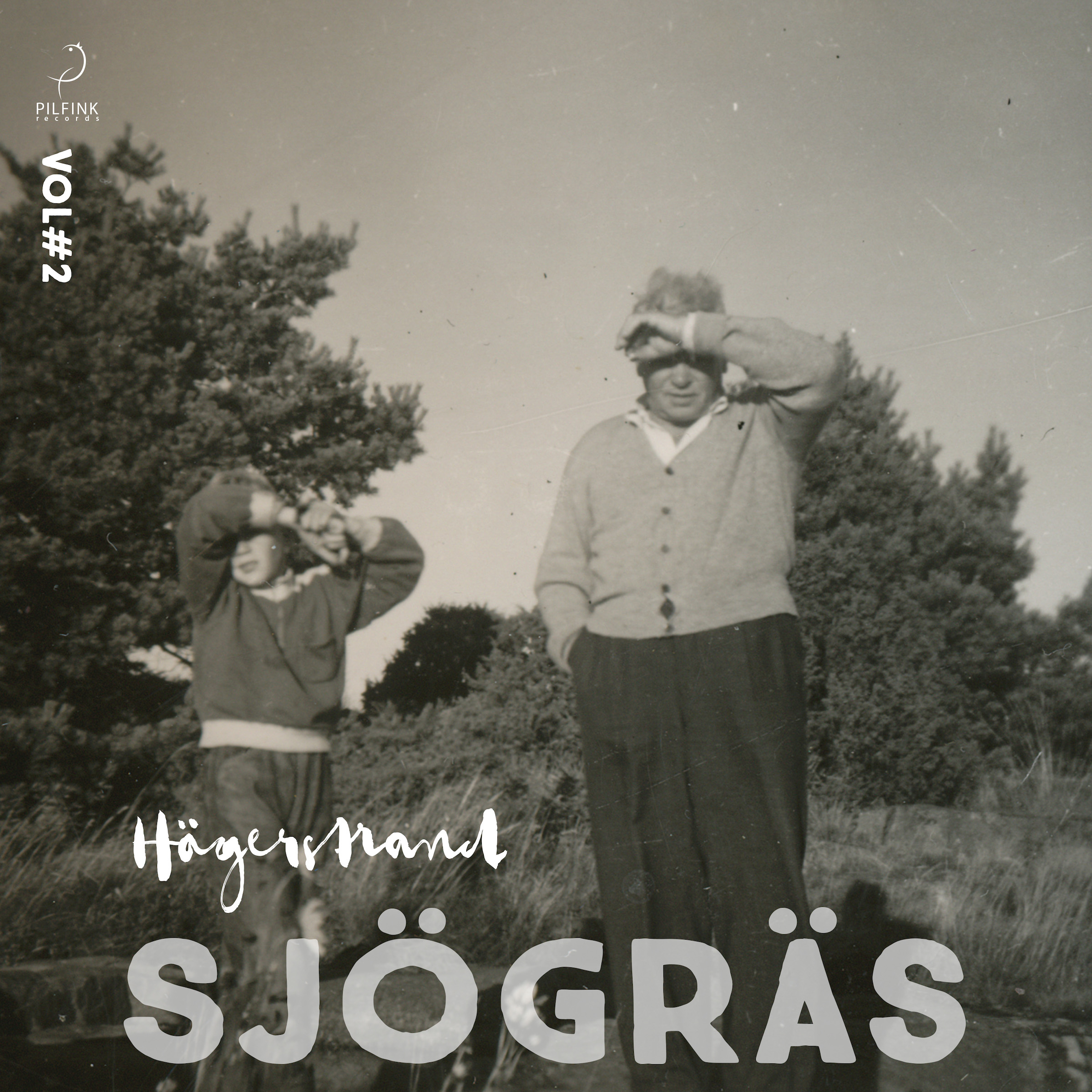 BEYOND THE BARRIER: THE CINEMATIC SOUL OF PETER HÄGERSTRAND’S “SJÖGRÄS VOL. 2”