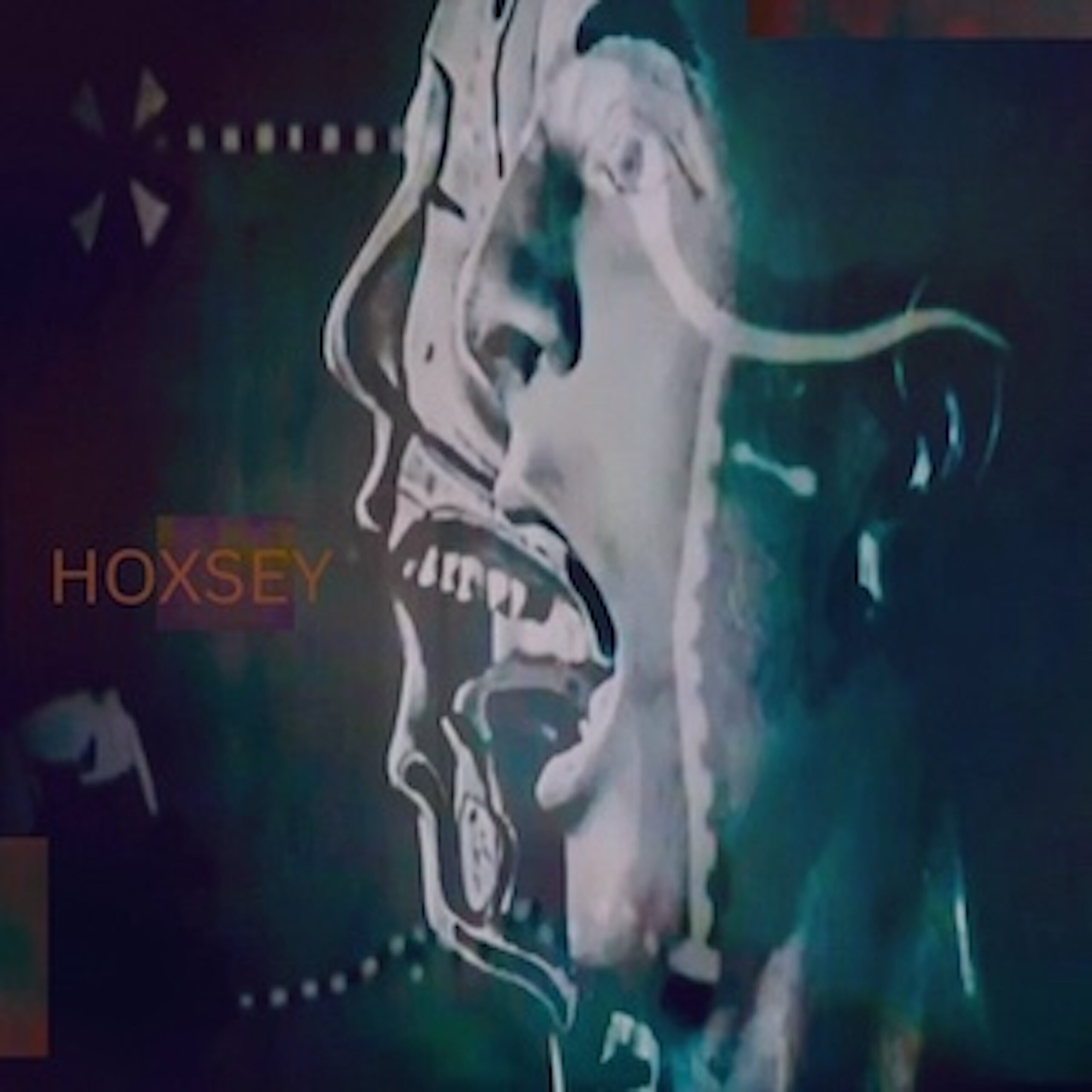 THE SONIC ARCHITECTURE OF HOXSEY’S “HOXSEY”: AN UNFLINCHING JOURNEY INTO THE PSYCHE