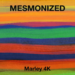 SONG OF THE SOUL: “MARLEY 4K” BY MESMONIZED IS A MASTERPIECE OF REMEMBRANCE AND HEARTBEAT