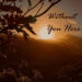 “WITHOUT YOU HERE” BY STARBOARD TO SUNSET IS A MASTERPIECE WRITTEN IN THE TIDES