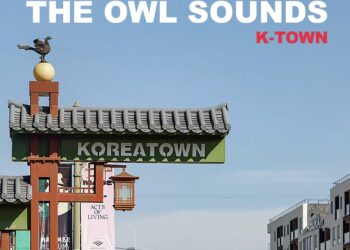 “K-TOWN” IS PURE SONIC MAGIC: THE OWL SOUNDS’ CULT MASTERPIECE IS A TRIP TO THE FREEDOM OF HIS FAVORITE PLACE